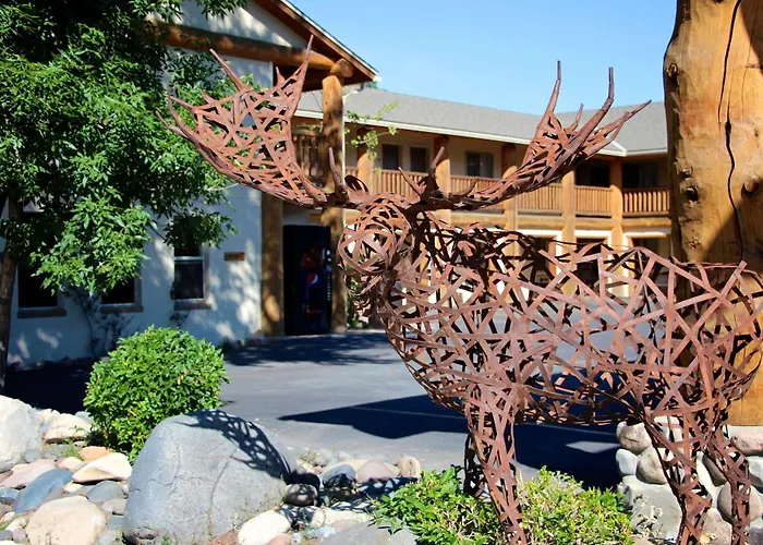 Moose Creek & Suites Cody