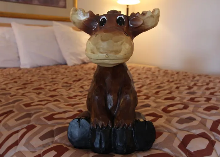 Moose Creek & Suites Lodge Cody